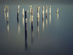 фото "***"