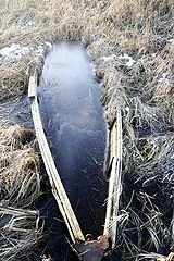 фото "Первые заморозки.Освейское озеро."