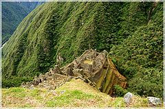 photo "Green Deep"