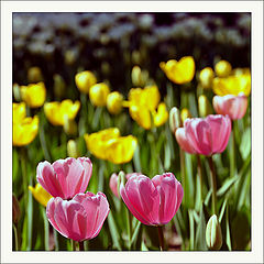 photo "beijing-23"