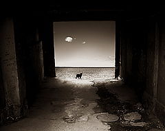photo "***"