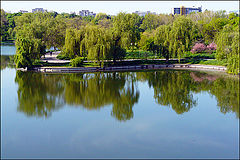 photo "Peaceful lake / Мирное озеро"