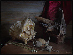 photo "Still Life with sprouted potatoes"