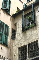 фото "windows and ancient walls"