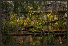 photo "Forgotten raft"