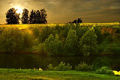 photo "***"