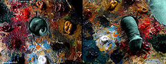 photo "***"