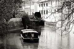 photo "***"