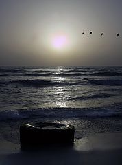 photo "***"