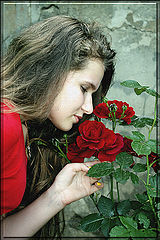photo "портрет розы девушка"