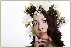 photo "* * *"