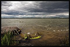 фото "Водяная.."