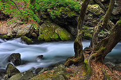photo "The greatest creator"