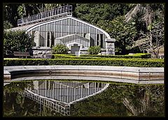 photo "Botanical Garden #3"