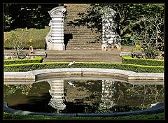 photo "Botanical Garden #4"