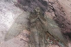 фото "angel in the glass"