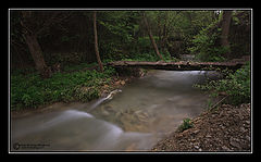 photo "Most"