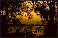 photo "GOLD"