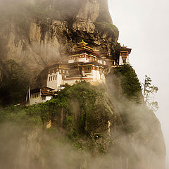 photo "Tiger's nest"