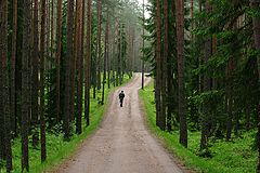 photo "все мы лишь странники на этой земле"