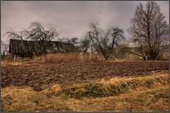 фото "Полоса плодородия"