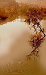 photo "."