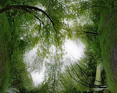 photo "***"