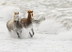 photo "Burn at the sea"