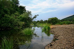 photo "***"