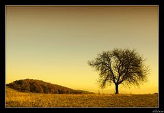 фото "Moment"