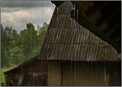 photo "Summer Rain"
