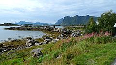 photo "Norway"