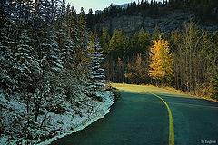 photo "Autumn vs Winter"