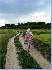 фото "по дороге"