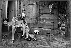 photo "A preparation of potatoes"