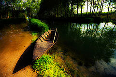 photo "nb"