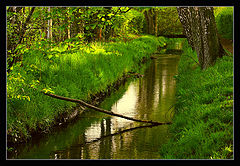 photo "***"