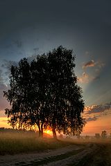 photo "***"