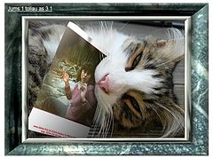 photo "***"
