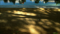 фото "***"