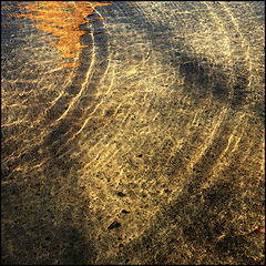 photo "***"