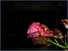 фото "***"