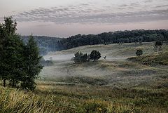 photo "***"