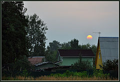photo "***"