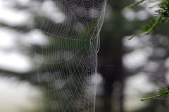 фото "граница"