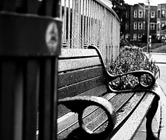 фото "The Bench"