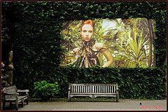photo "quiet place"