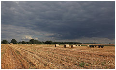 фото "lighst"