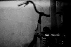 photo "***"