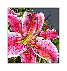 photo "Litle detail"